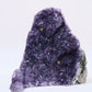 Uruguayan Polished Amethyst Geode - Luna Panther