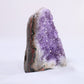 Uruguayan Polished Amethyst Geode - Luna Panther