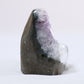 Uruguayan Polished Amethyst Geode - Luna Panther