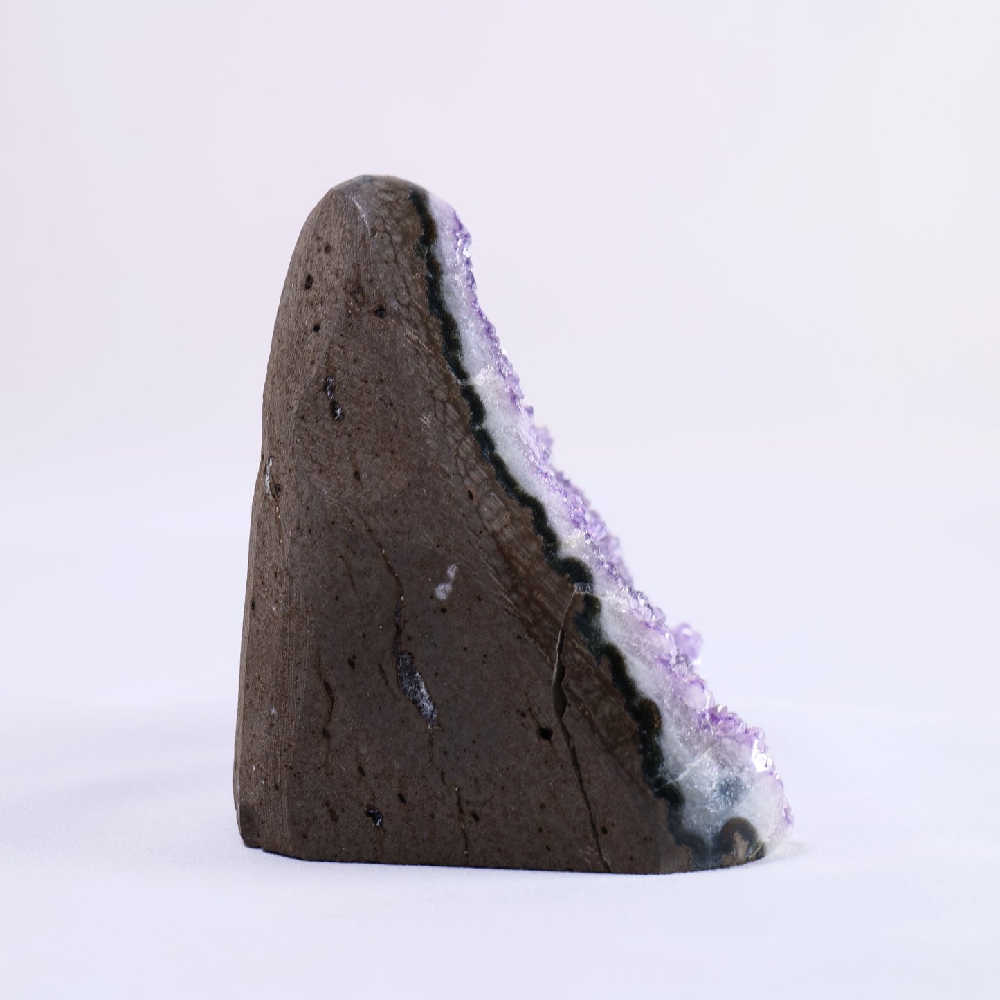 Uruguayan Polished Amethyst Geode - Luna Panther