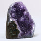 Uruguayan Polished Amethyst Geode - Luna Panther