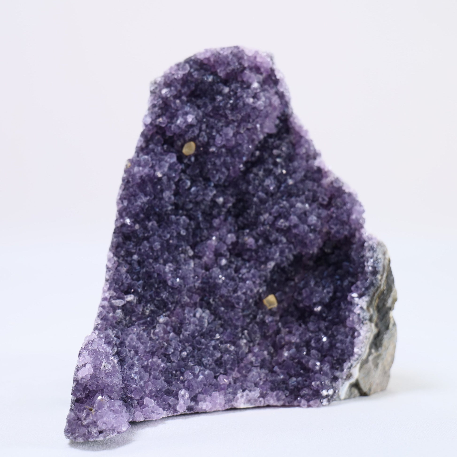 Uruguayan Polished Amethyst Geode - Luna Panther