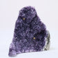Uruguayan Polished Amethyst Geode - Luna Panther