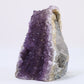 Uruguayan Polished Amethyst Geode - Luna Panther