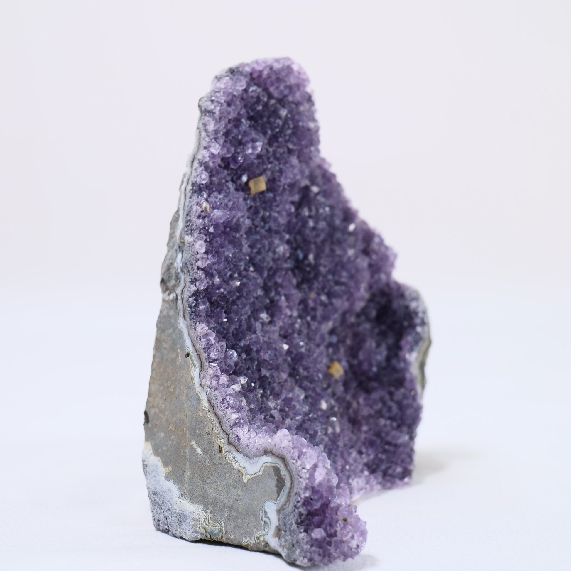 Uruguayan Polished Amethyst Geode - Luna Panther