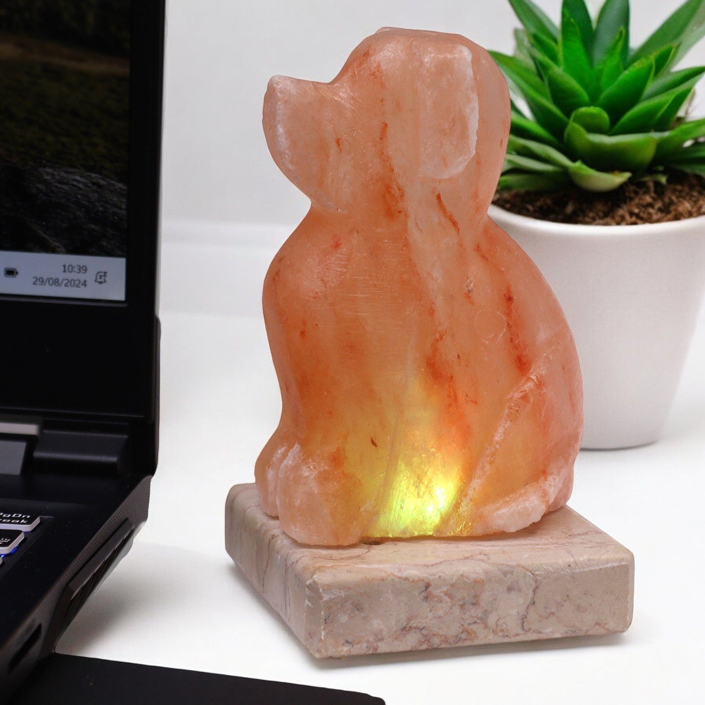 Polished USB Dog Shaped (Multi) featuring natural patterning and unique variations - Luna Panther
