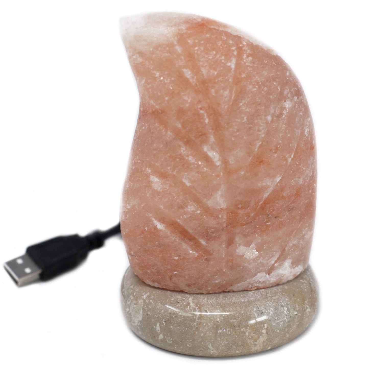 Polished USB leaf Shaped (Multi) featuring natural patterning and unique variations - Luna Panther