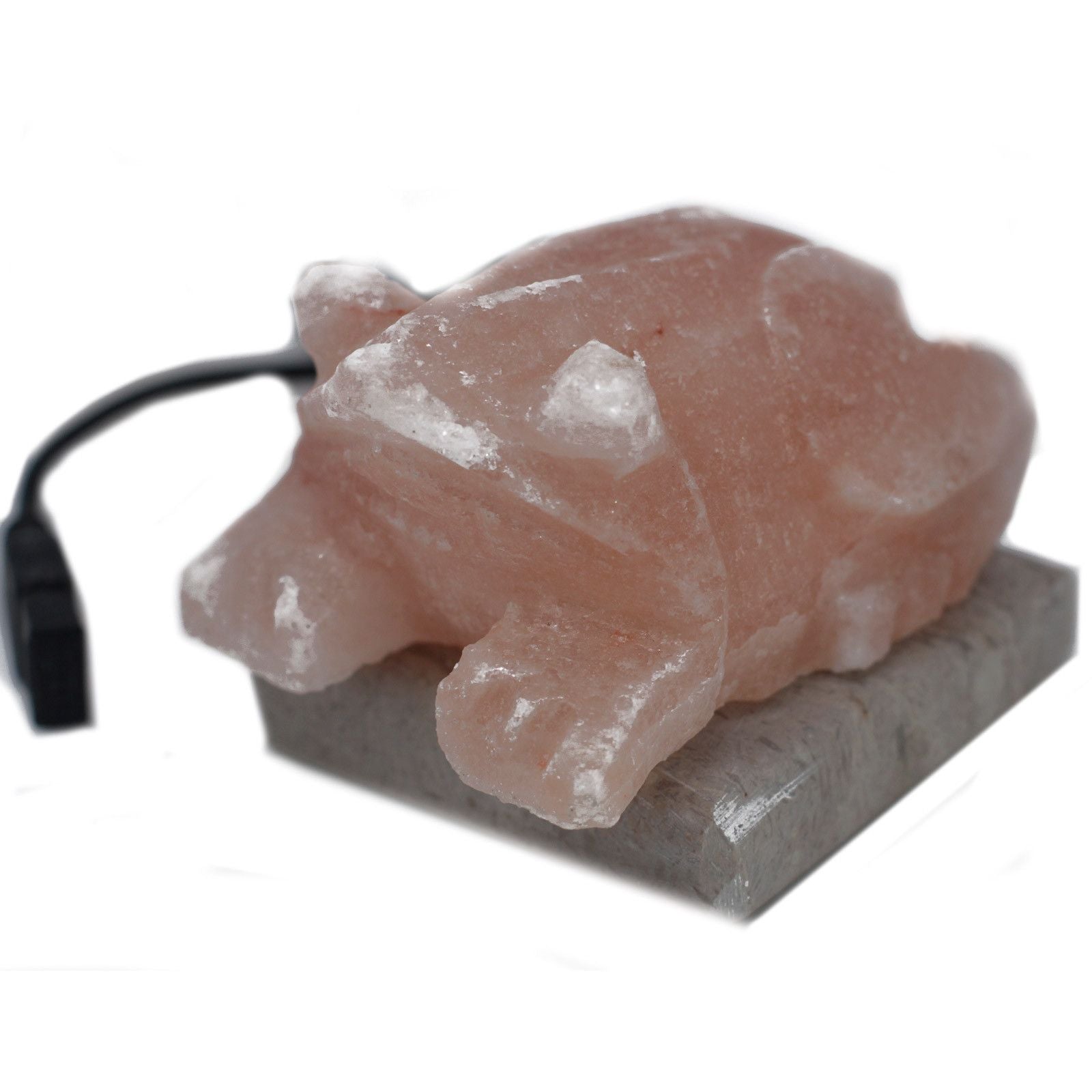 Polished USB Toad Shaped (Multi) featuring natural patterning and unique variations - Luna Panther