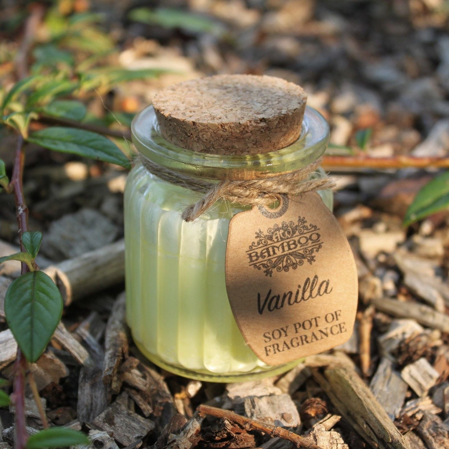 Vanilla Soy Pot of Fragrance Candles - Luna Panther