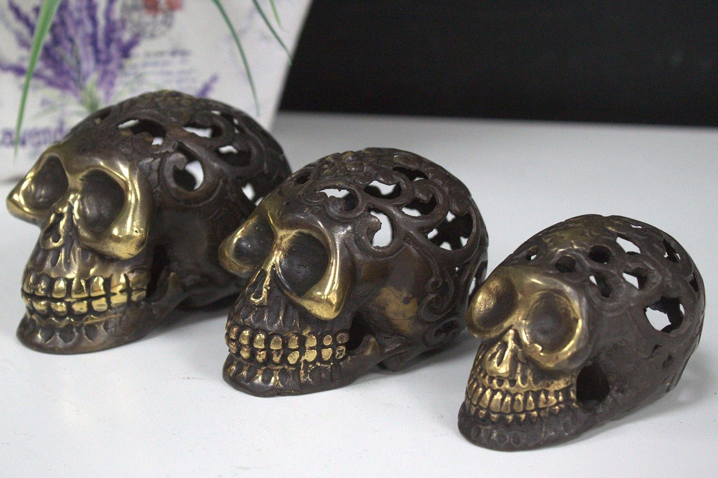 Vintage Brass Skull - Large - Luna Panther