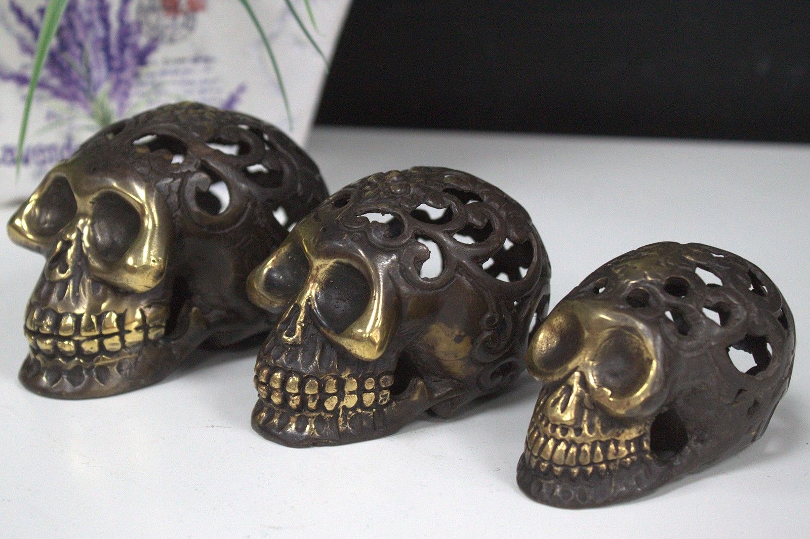 Vintage Brass Skull - Large - Luna Panther