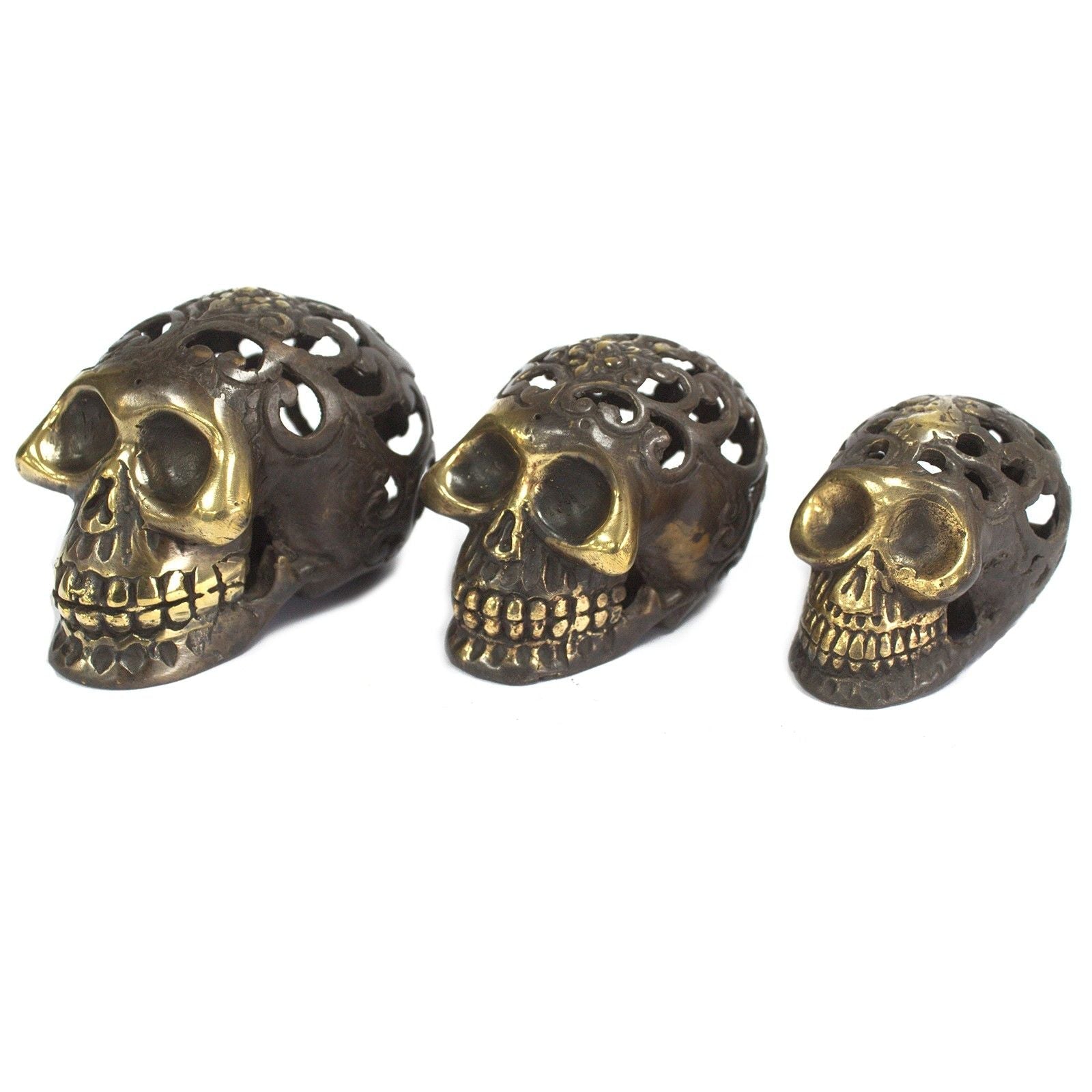 Vintage Brass Skull - Large - Luna Panther