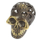 Vintage Brass Skull - Large - Luna Panther
