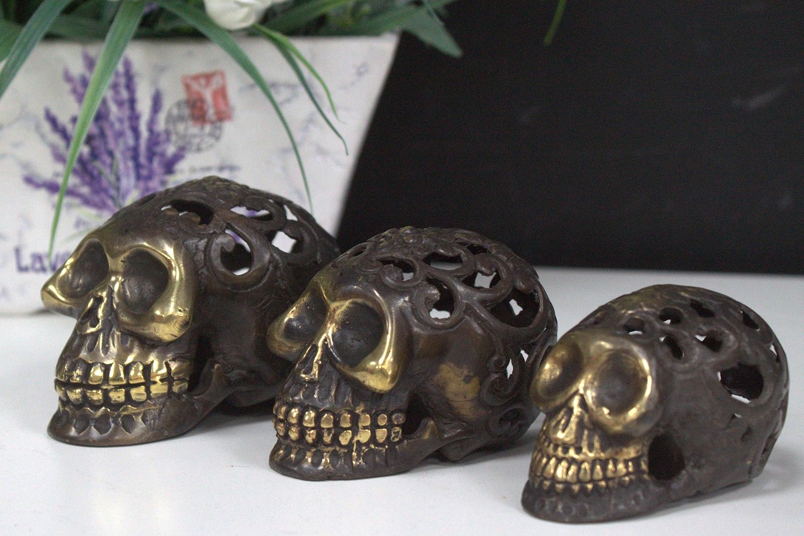 Vintage Brass Skull - Small - Luna Panther