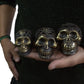 Vintage Brass Skull - Small - Luna Panther