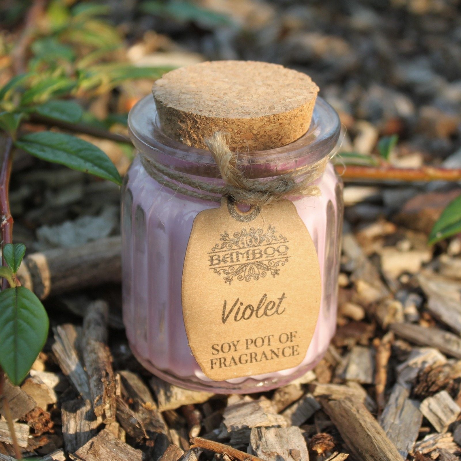 Violet Soy Pot of Fragrance Candles - Luna Panther