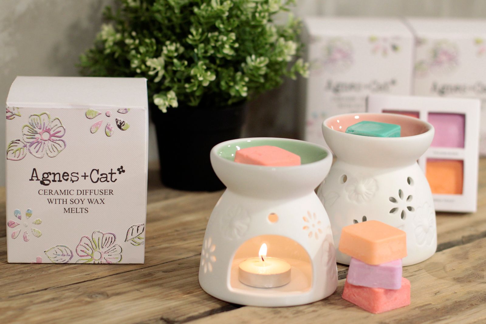 Wax Melter with Four Soy Wax Melts - Luna Panther