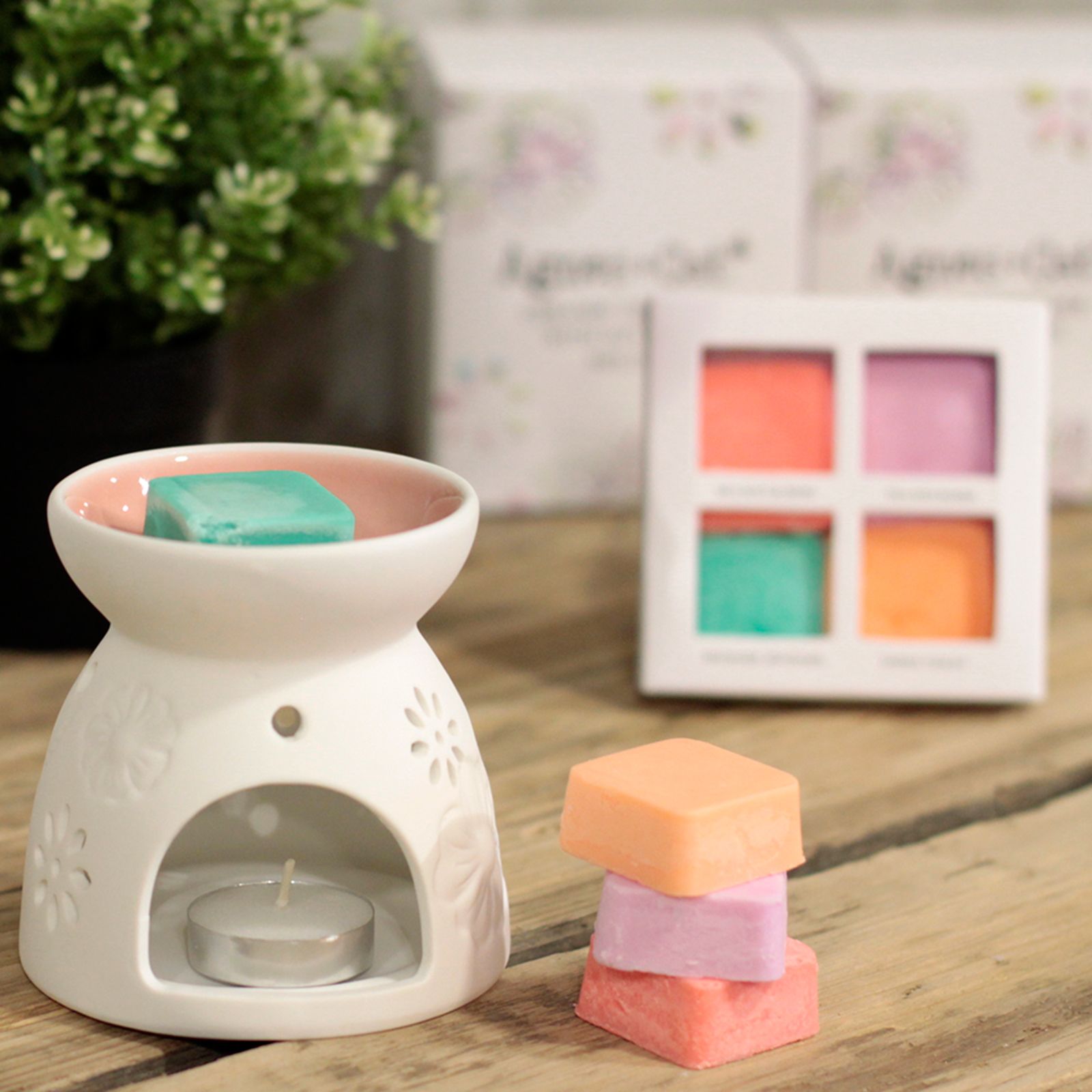 Wax Melter with Four Soy Wax Melts - Luna Panther