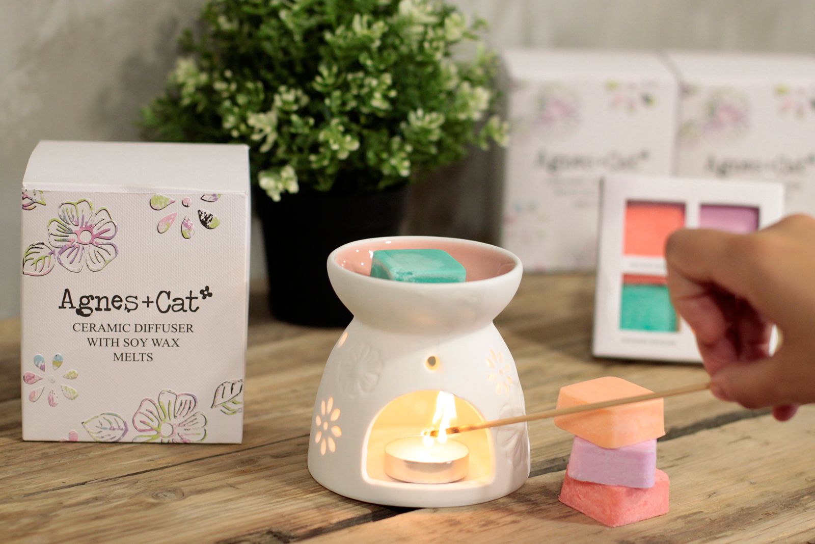 Wax Melter with Four Soy Wax Melts - Luna Panther