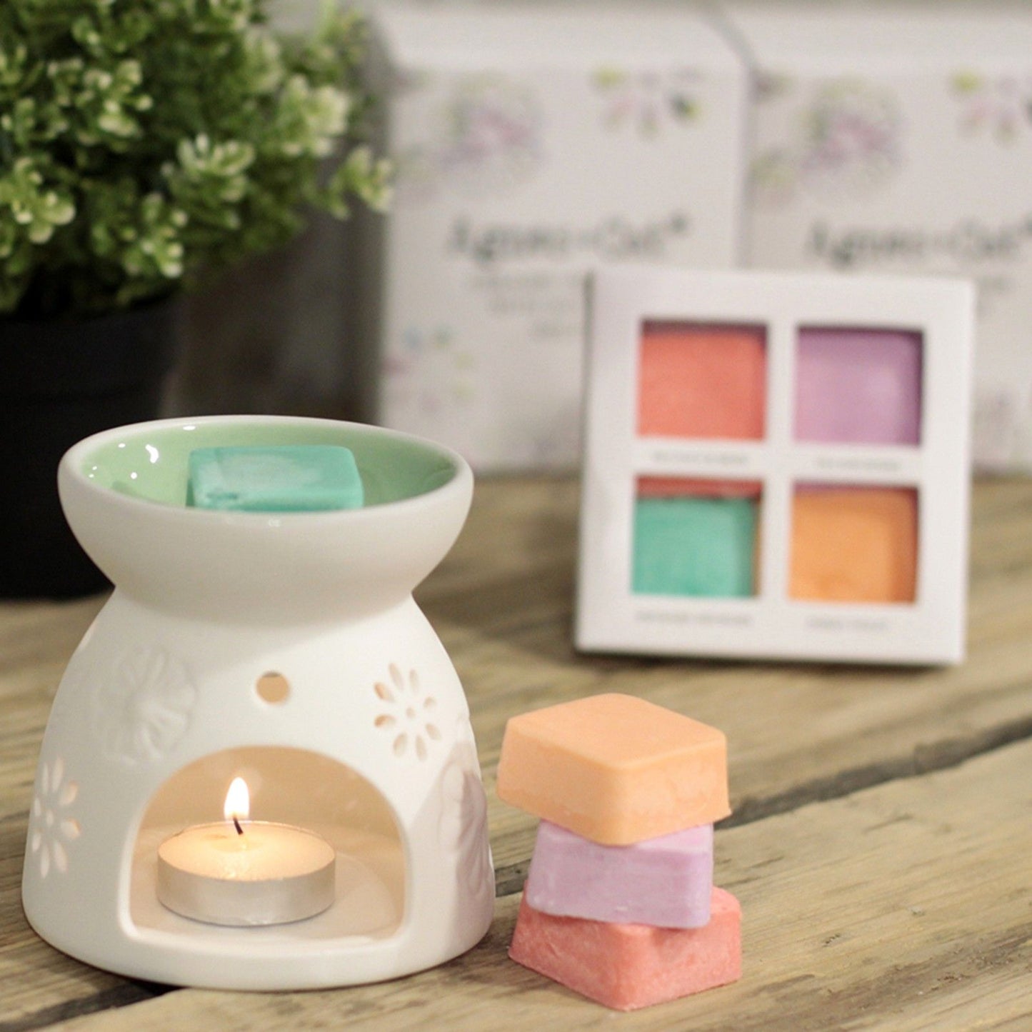 Wax Melter with Four Soy Wax Melts - Luna Panther