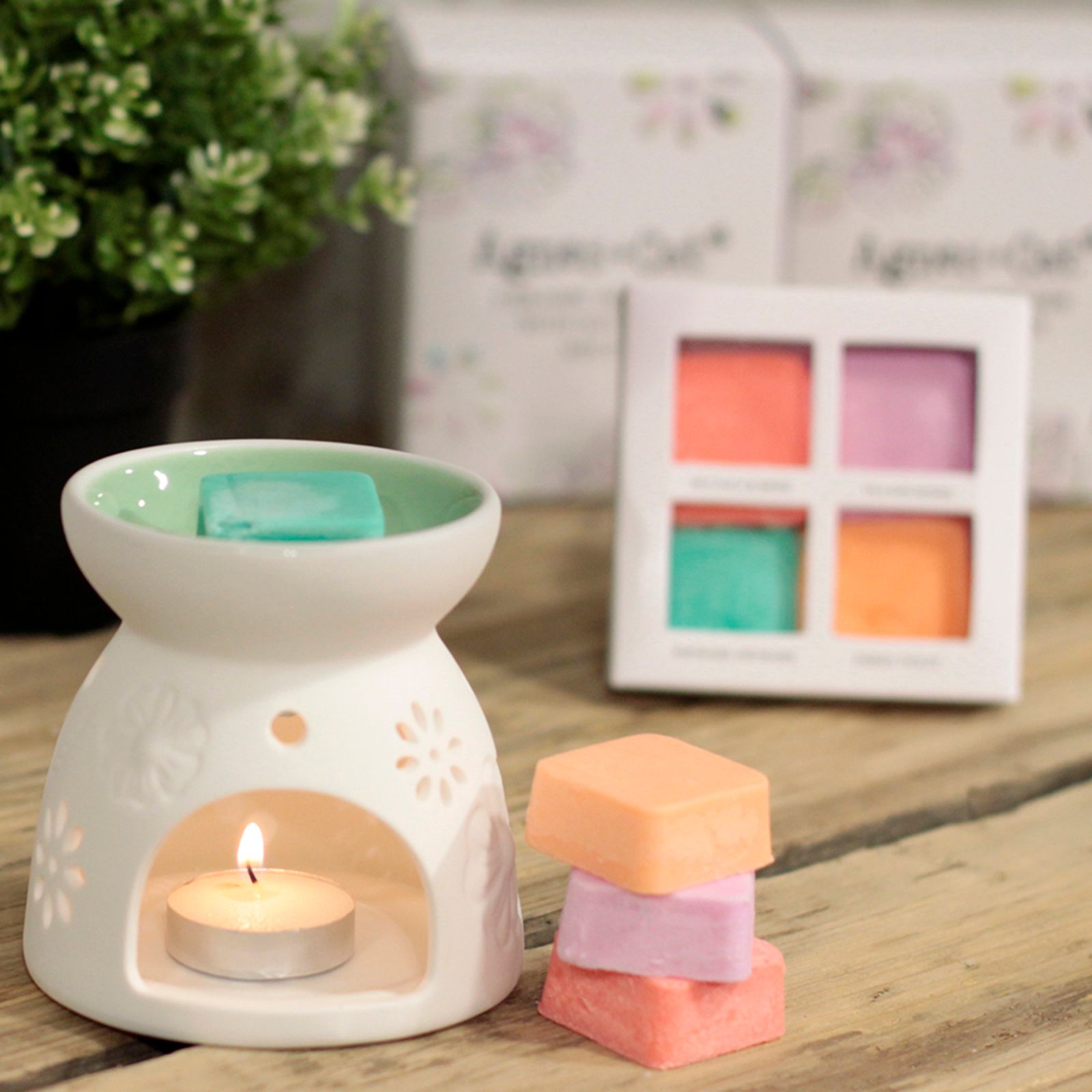 Wax Melter with Four Soy Wax Melts - Luna Panther