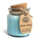 Winter Berry Soy Pot of Fragrance Candles - Luna Panther