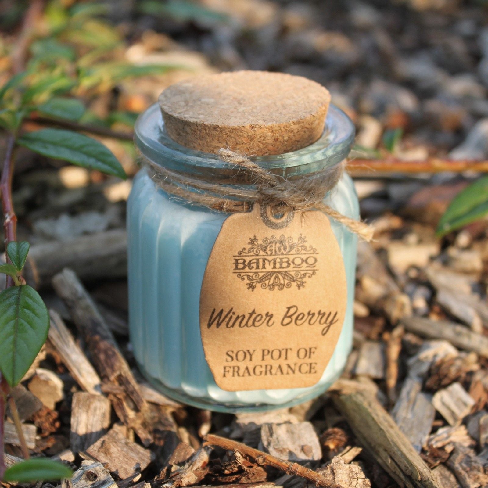 Winter Berry Soy Pot of Fragrance Candles - Luna Panther