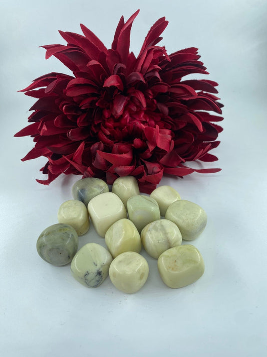 Polished Yellow Serpentine - Tumble Stone featuring mossy green tone with natural veining - Luna Panther